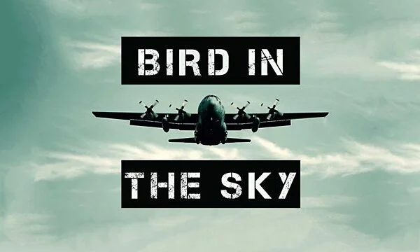 Bird in the Sky 5