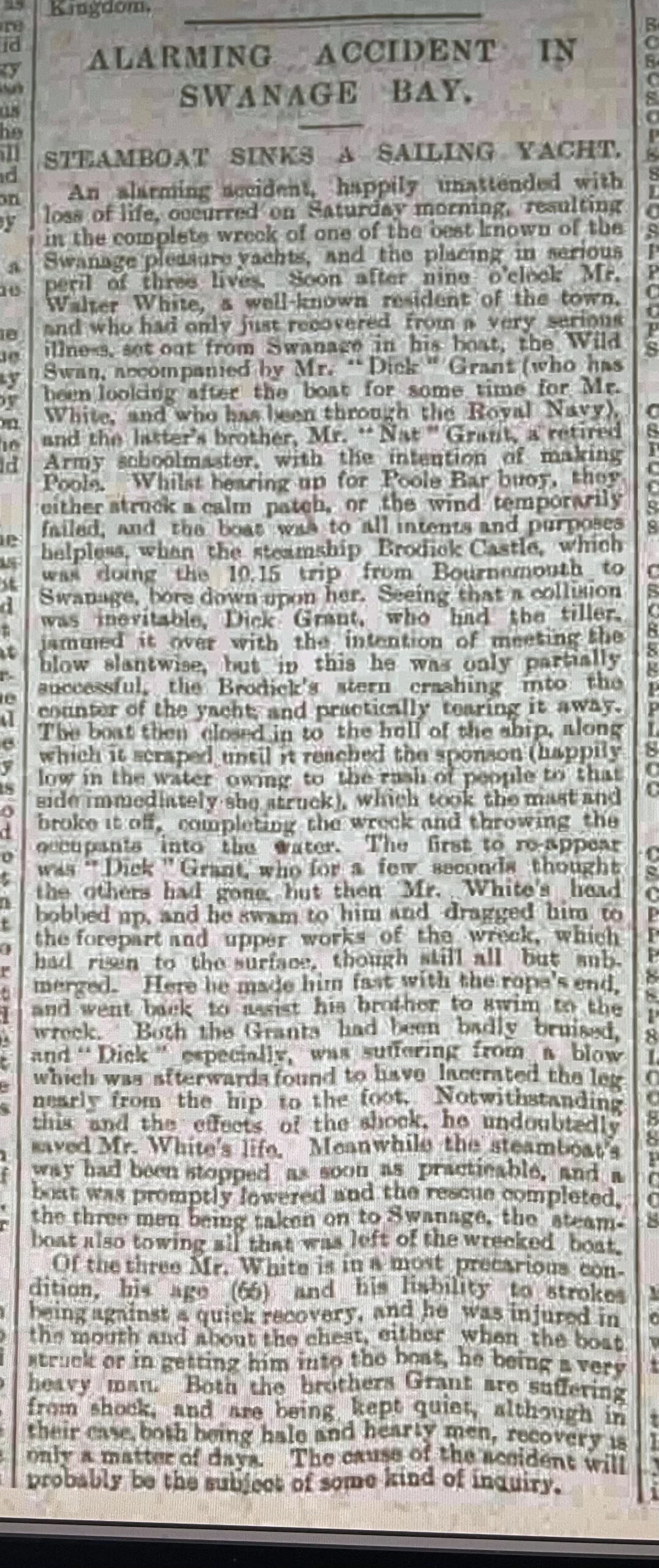 WILD SWAN 1 WILD SWAN 1